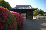 近見山 延命寺