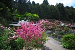 石鎚山 福智院 横峰寺